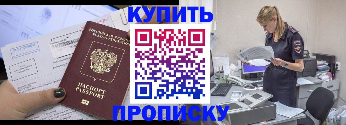 временная регистрация поиск в Кингисеппе