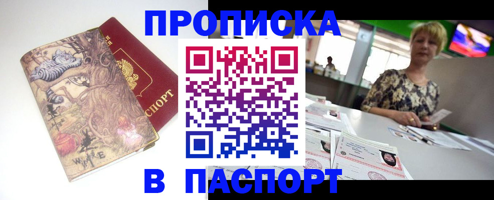 где прописаться в Кингисеппе